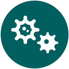 Specified Disease icon.